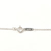 Tiffany & Co necklace