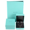 Tiffany & Co necklace