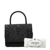 Prada handbag