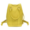 Bottega Veneta backpack