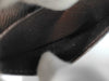 https://tbc-image-proxy.thebrandcollector.workers.dev/10cfd250c3d6c29d?url=https://assets.ecoauc.com/images/item/20260916/2260006989312-1-saucgwxzlpiqvneohkmrdyftjb.jpg