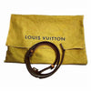 Louis Vuitton clutch