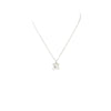 Tiffany & Co necklace