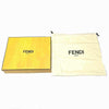 Fendi clutch