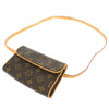 Louis Vuitton clutch