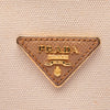 Prada Medium Canvas and Saffiano Cuir Double Satchel Secondhand