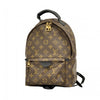 Louis Vuitton backpack