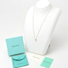 Tiffany & Co necklace