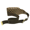 Louis Vuitton shoulder