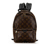 Louis Vuitton backpack