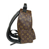 Louis Vuitton backpack