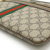 Gucci clutch