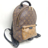 Louis Vuitton backpack