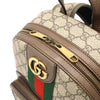 Gucci backpack