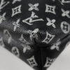 Louis Vuitton shoulder