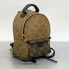 Louis Vuitton backpack