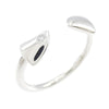 Tasaki ring