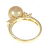 Tasaki ring