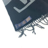 Louis Vuitton scarf