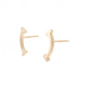 Tiffany & Co earring