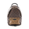 Louis Vuitton backpack