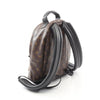 Louis Vuitton backpack