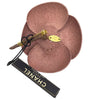 Chanel brooch