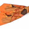 Hermès scarf