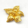 Dior brooch