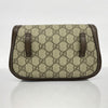 Gucci clutch