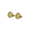 Tiffany & Co earring