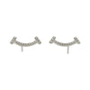 Tiffany & Co earring