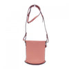 Delvaux handbag