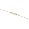 Tiffany & Co necklace