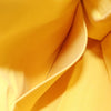 Secondhand Louis Vuitton Yellow Canvas Bag