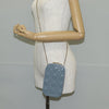 Dior clutch