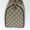 Gucci travel