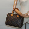 Louis Vuitton handbag