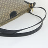 Louis Vuitton shoulder