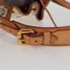 Louis Vuitton shoulder