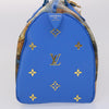 Louis Vuitton handbag