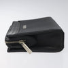 Burberry clutch