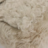 Céline shoulder