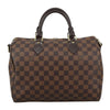 Louis Vuitton handbag