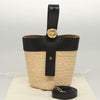 Loewe handbag