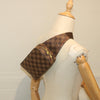 Louis Vuitton shoulder