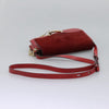 Chloe Faye Crossbody Leather and Suede