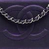 Secondhand Chanel CC Metallic Crackling Lizard Printed Leather Wallet on Chain