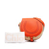Chloé Small Raffia Marcie Saddle Crossbody Secondhand