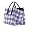 Celine Medium Gingham Raffia Luggage Phantom Tote Secondhand